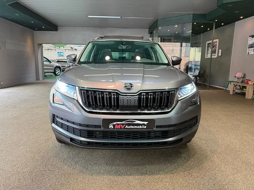 Skoda Kodiaq - Thumbnail 2