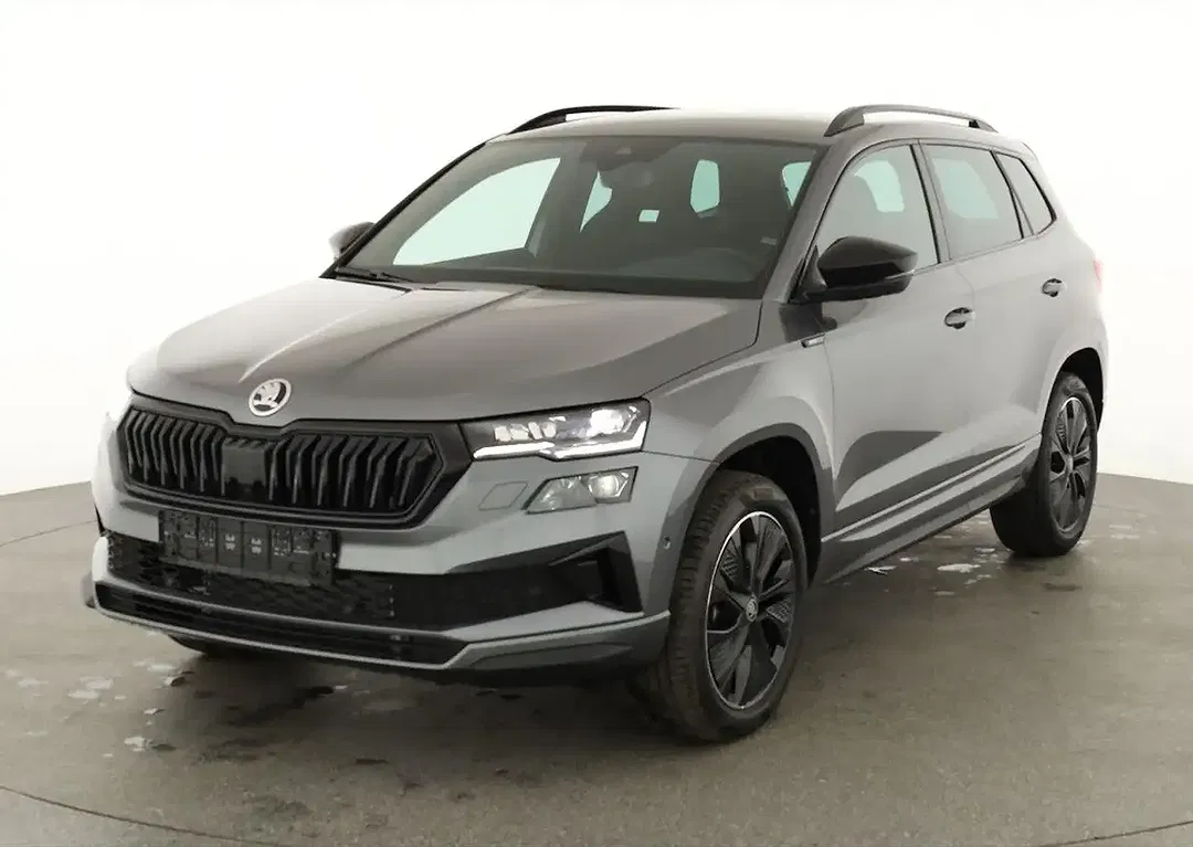 Skoda Karoq - Thumbnail 1