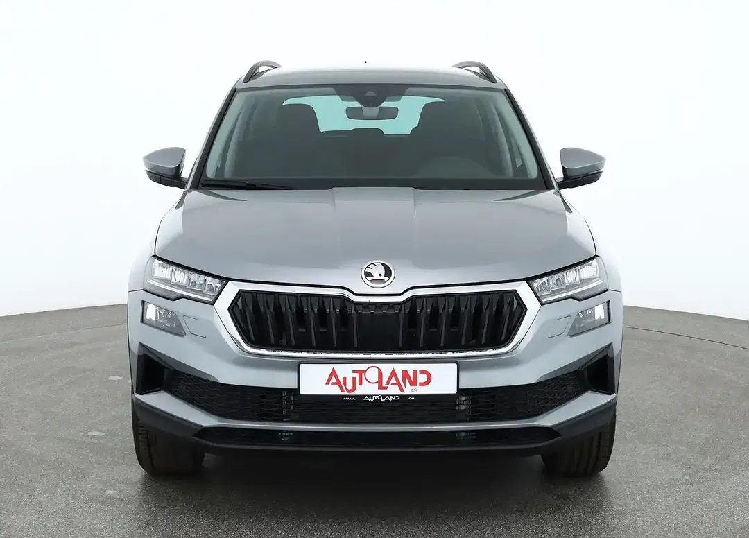 Skoda Karoq - Thumbnail 7