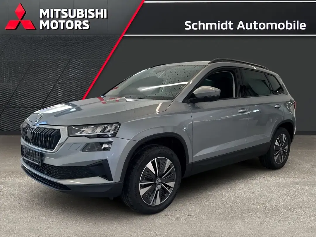 Skoda Karoq - Thumbnail 1