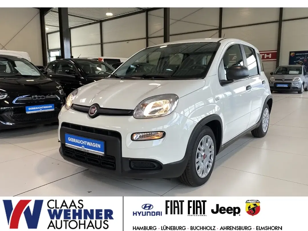 Fiat Panda Basis