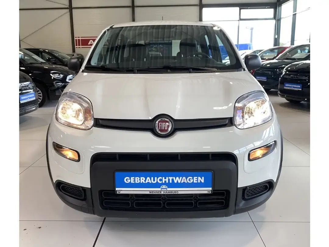 Fiat Panda - Thumbnail 2