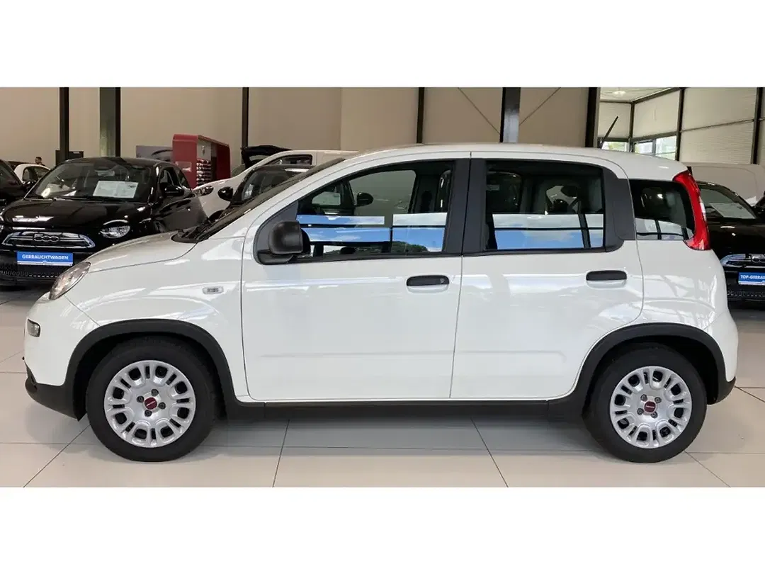 Fiat Panda - Thumbnail 4