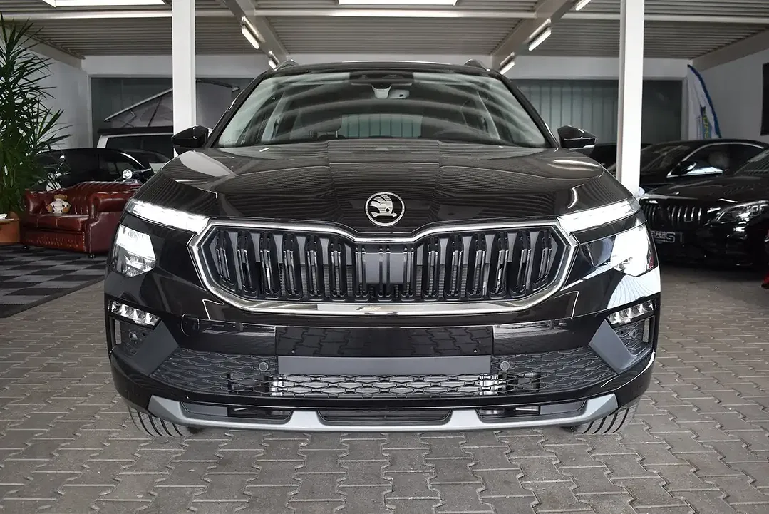 Skoda Kamiq - Thumbnail 9