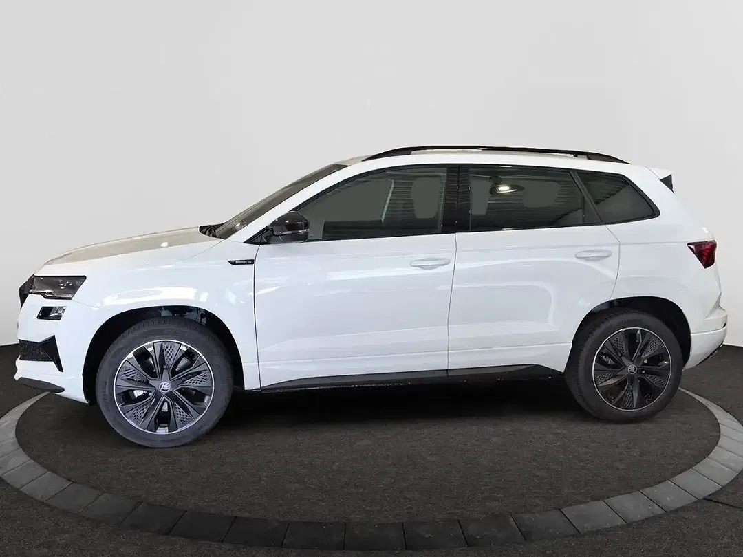 Skoda Karoq - Thumbnail 2