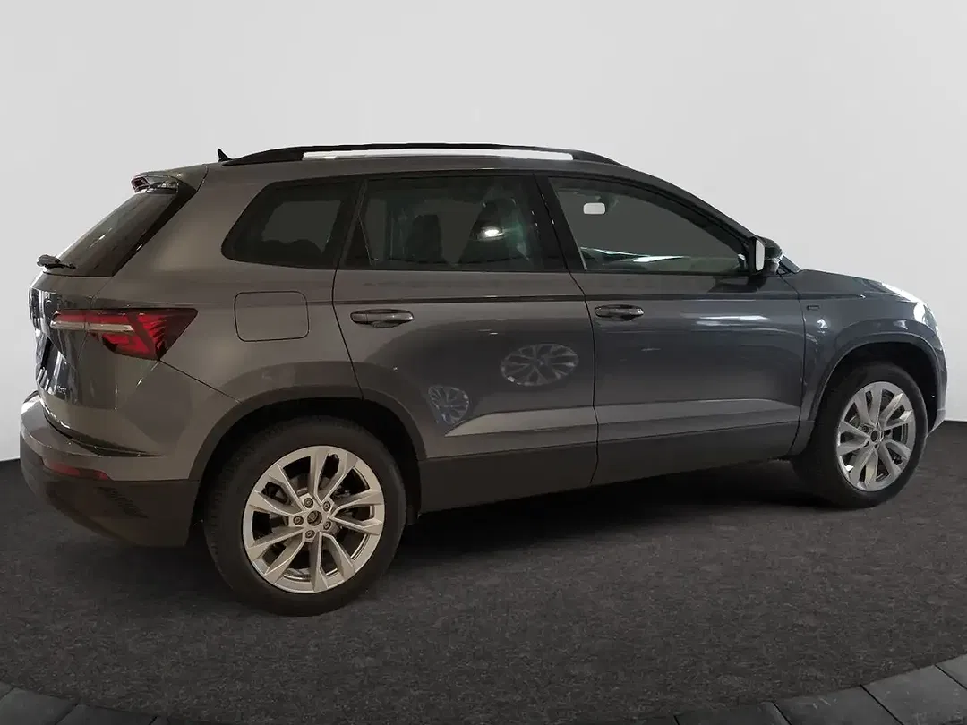 Skoda Karoq - Thumbnail 6