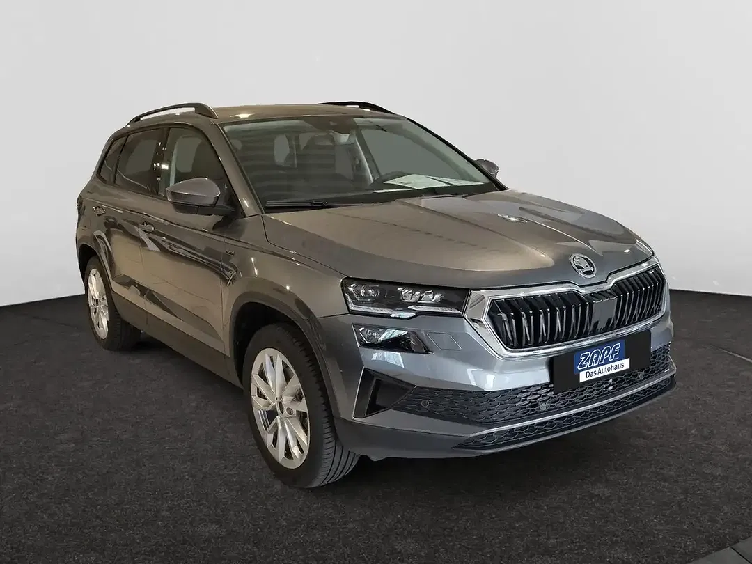 Skoda Karoq - Thumbnail 7