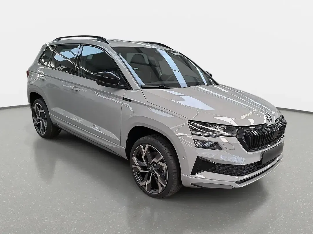 Skoda Karoq - Thumbnail 2