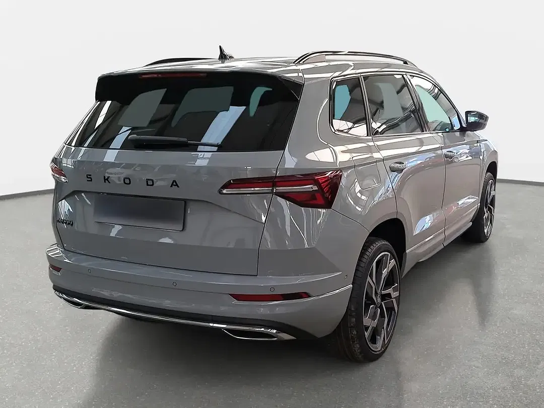 Skoda Karoq - Thumbnail 3