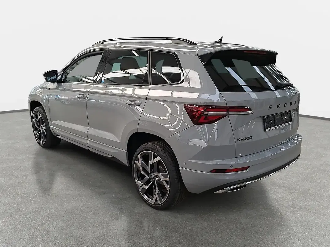 Skoda Karoq - Thumbnail 4