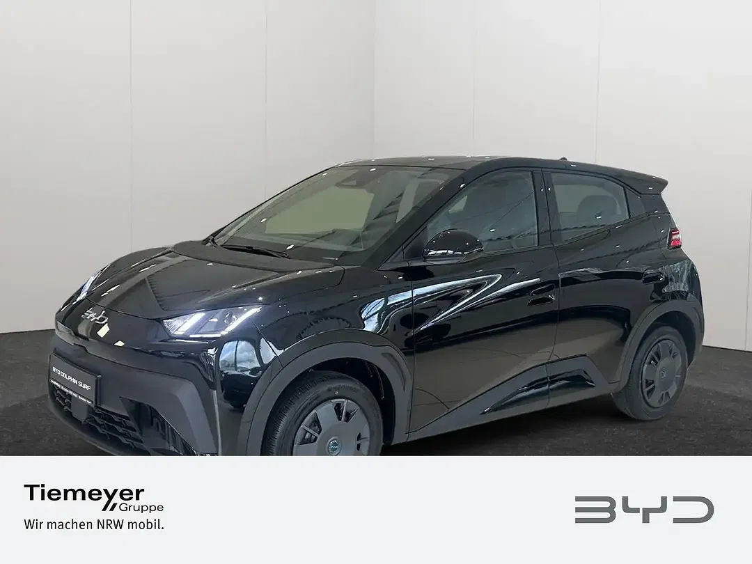 BYD Dolphin Surf Active