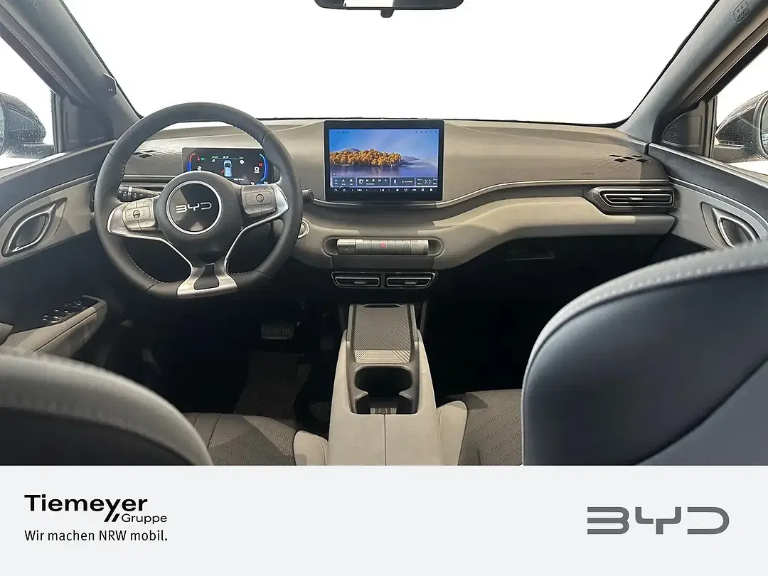 BYD Dolphin Surf - Thumbnail 13