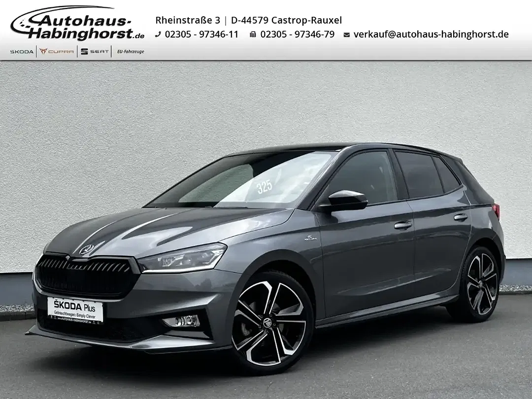 Skoda Fabia - Thumbnail 1