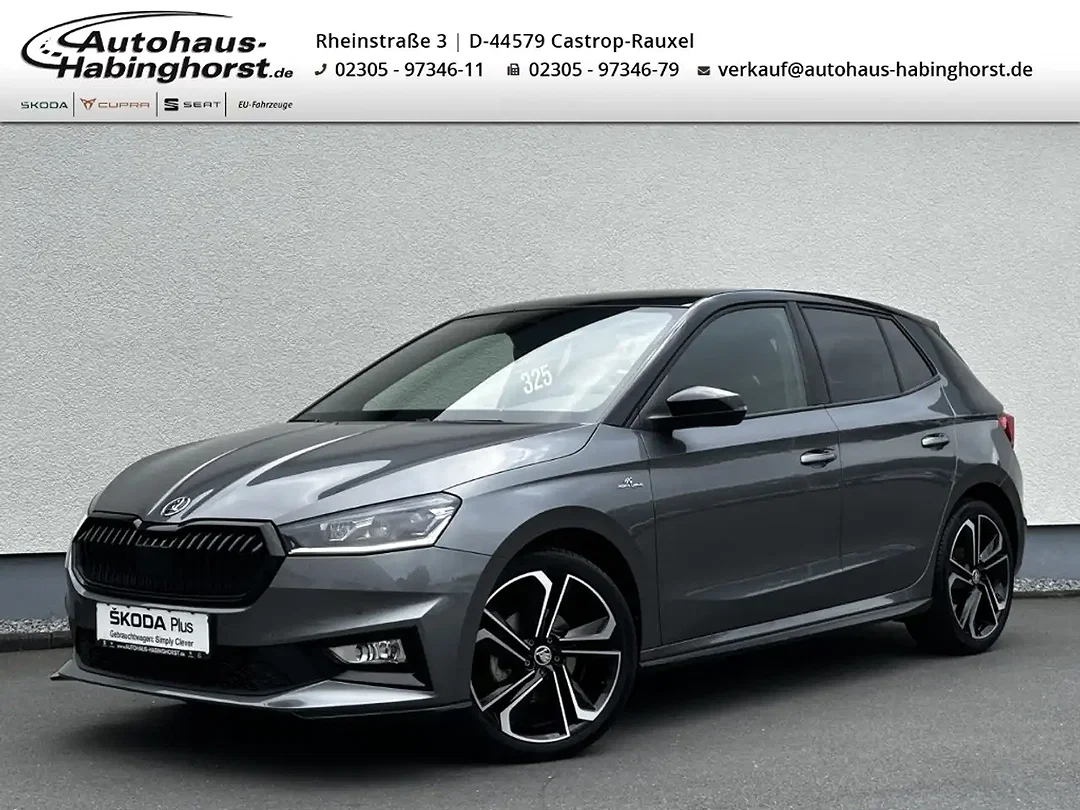 Skoda Fabia - Afbeelding 1