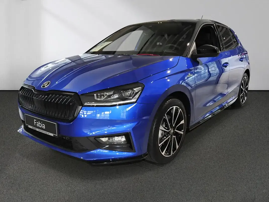 Skoda Fabia - Thumbnail 12