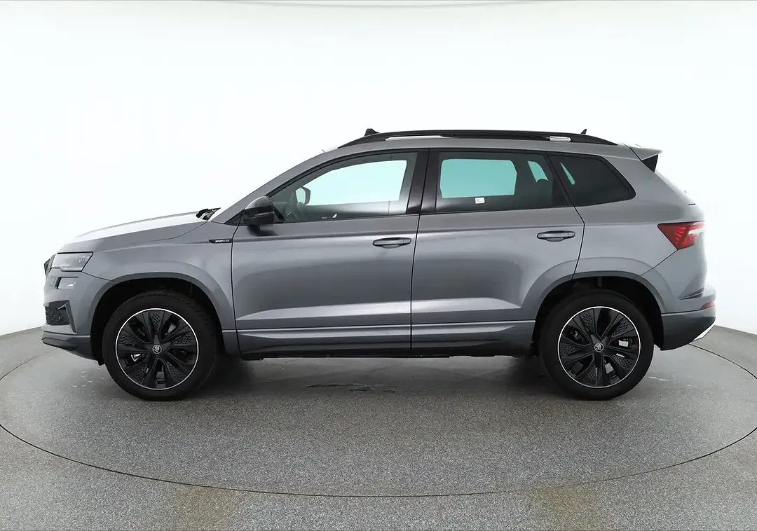 Skoda Karoq - Thumbnail 1
