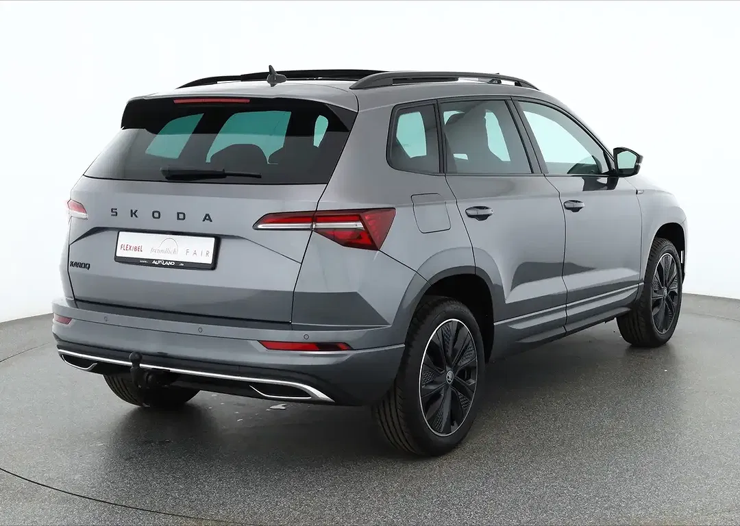 Skoda Karoq - Thumbnail 4