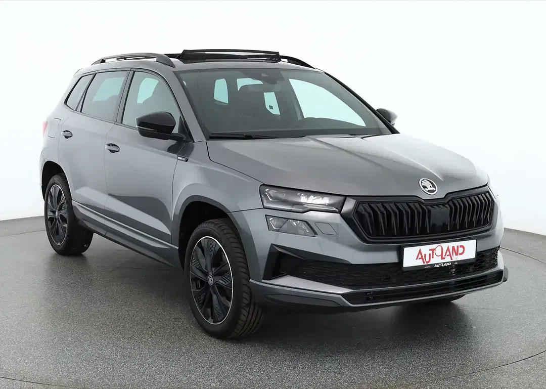 Skoda Karoq - Thumbnail 6