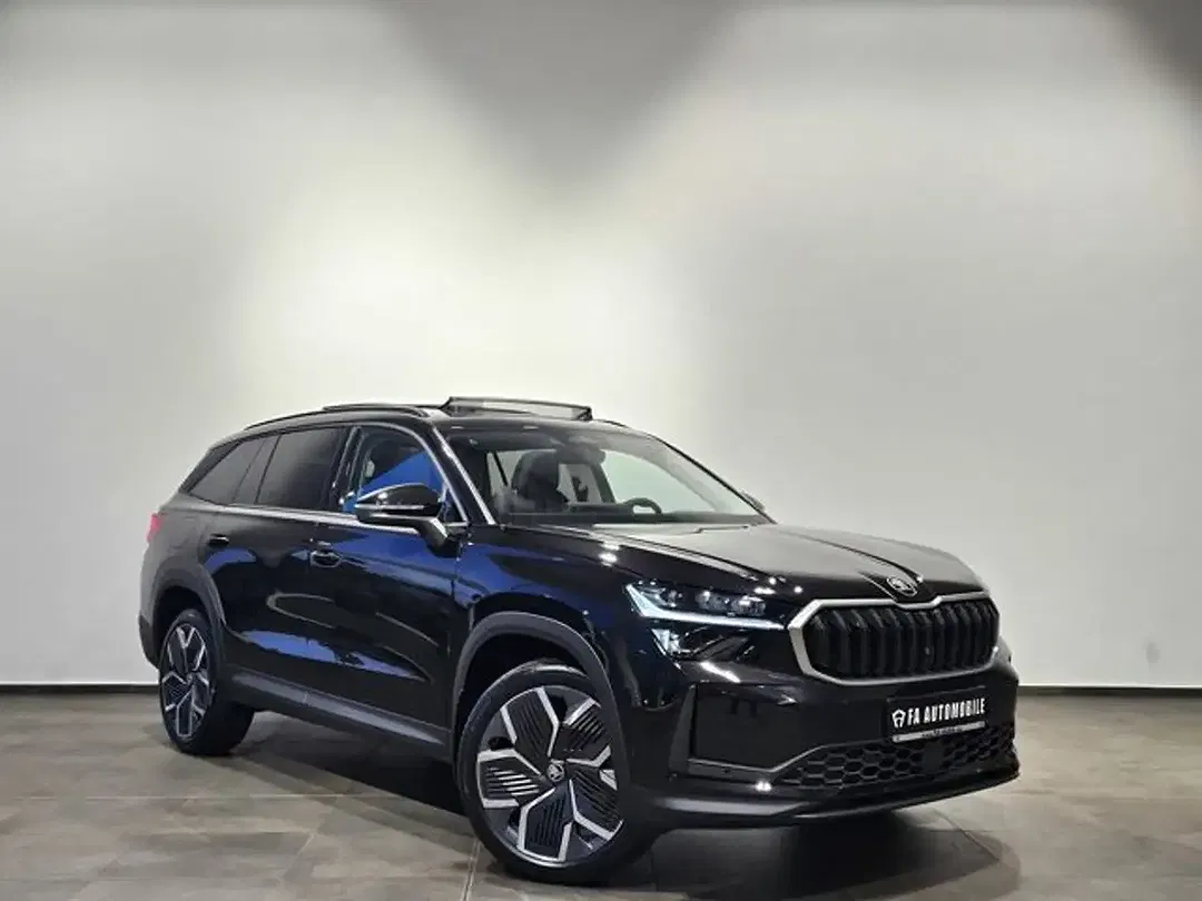 Skoda Kodiaq - Thumbnail 1