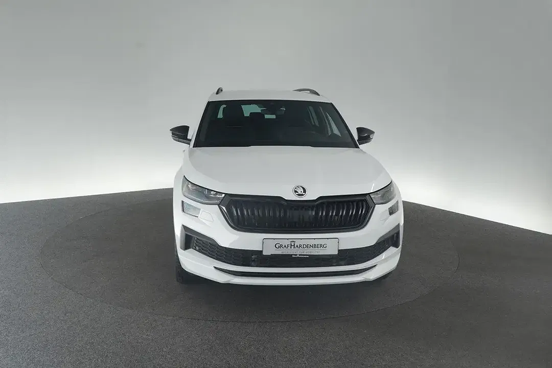 Skoda Kodiaq - Thumbnail 3