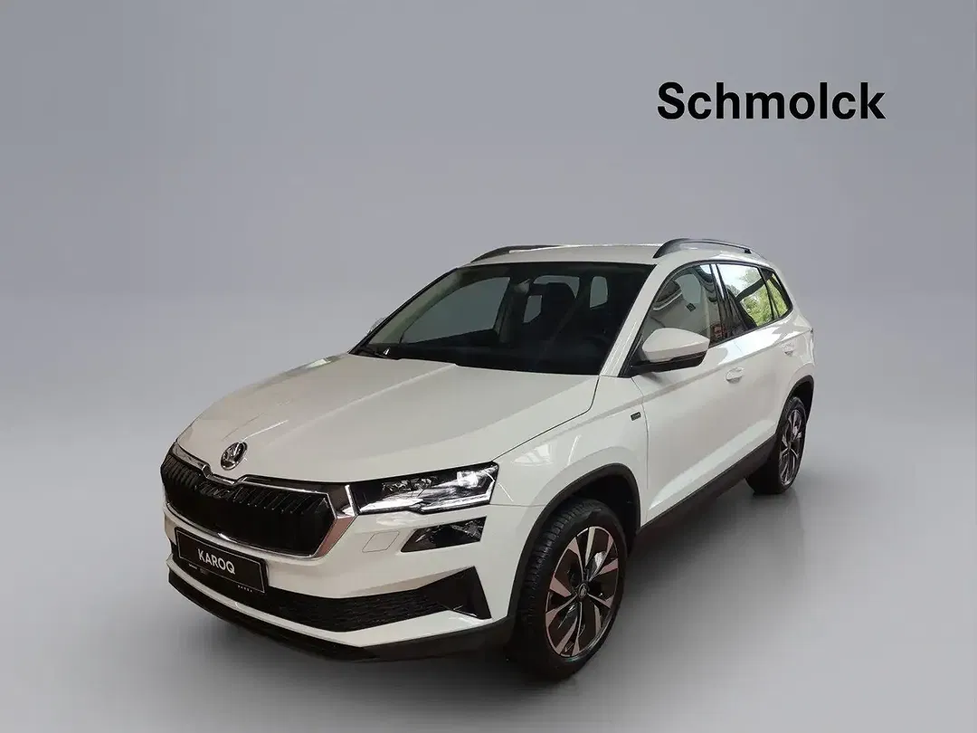 Skoda Karoq - Thumbnail 1