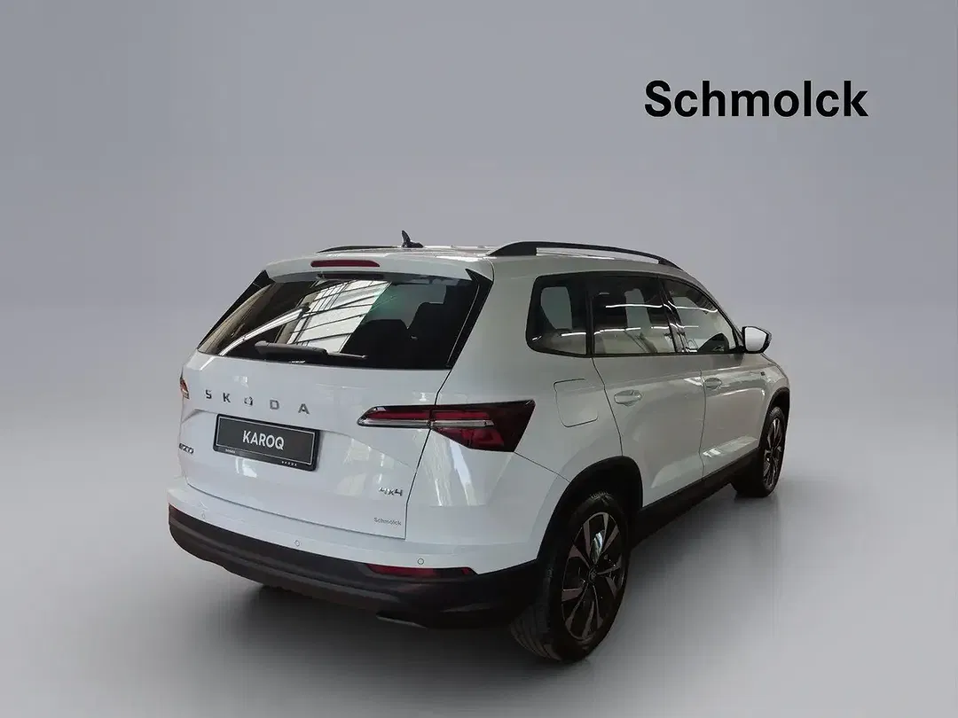 Skoda Karoq - Thumbnail 4