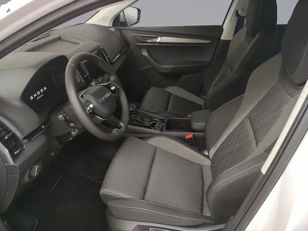 Skoda Karoq - Thumbnail 6