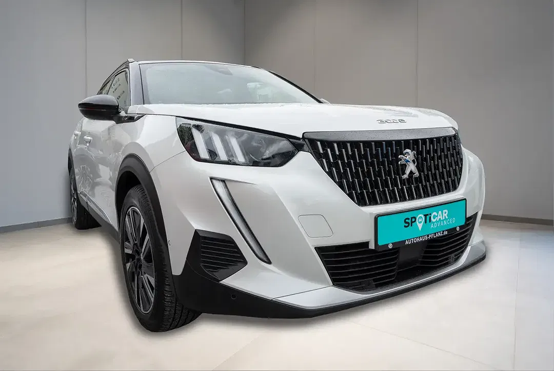 Peugeot 2008 - Thumbnail 2