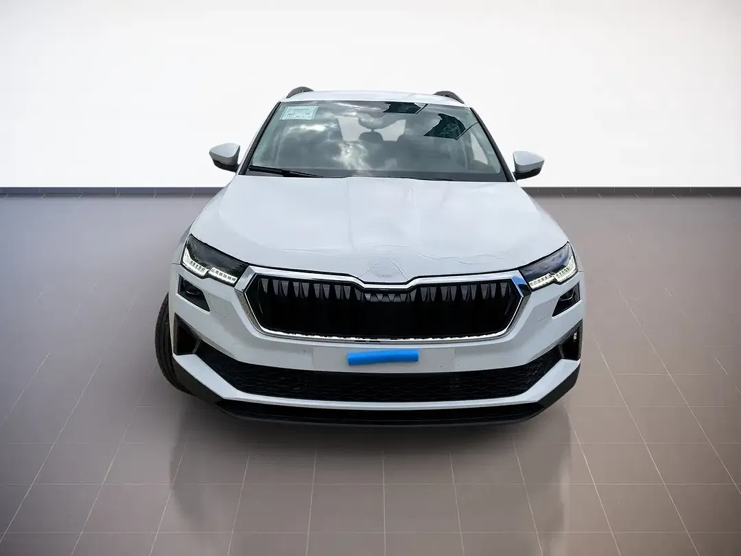 Skoda Karoq - Thumbnail 2