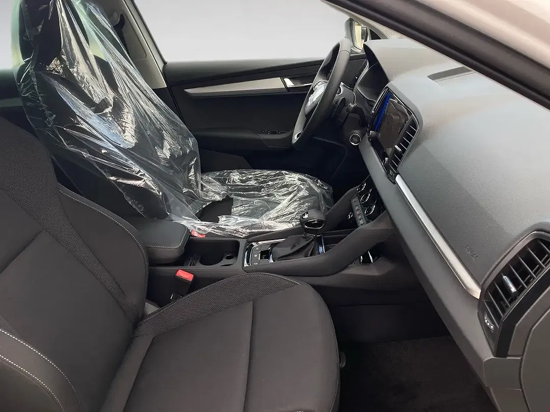 Skoda Karoq - Thumbnail 8