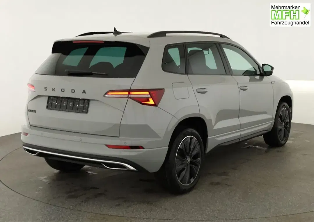 Skoda Karoq - Thumbnail 2