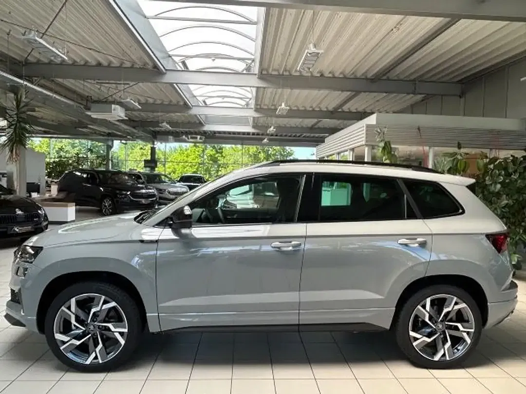 Skoda Karoq - Thumbnail 10