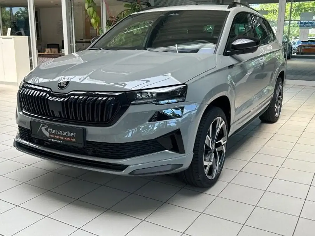 Skoda Karoq - Thumbnail 2