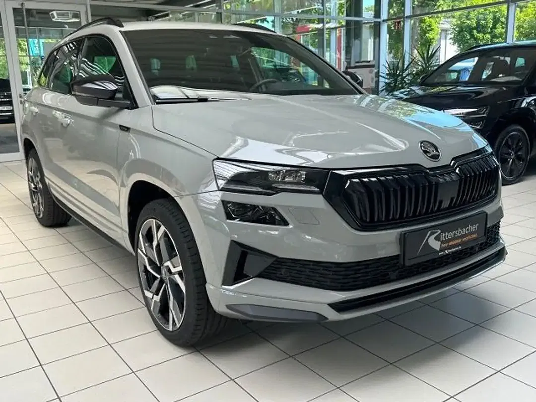 Skoda Karoq - Thumbnail 4