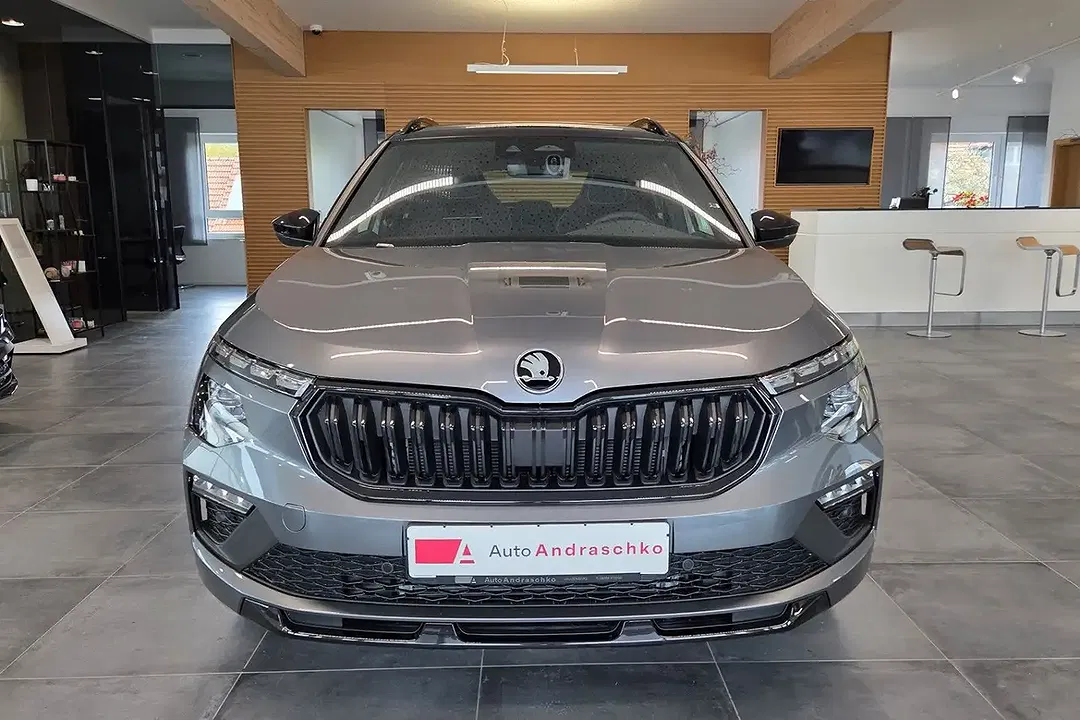 Skoda Kamiq - Thumbnail 2
