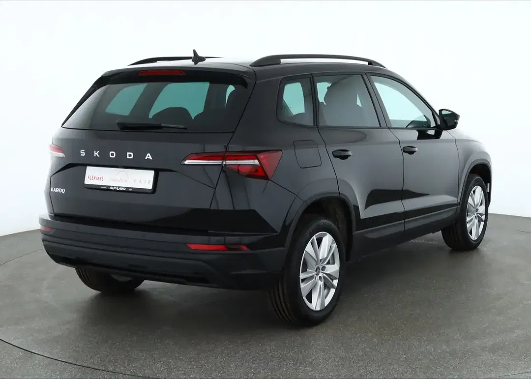 Skoda Karoq - Thumbnail 4