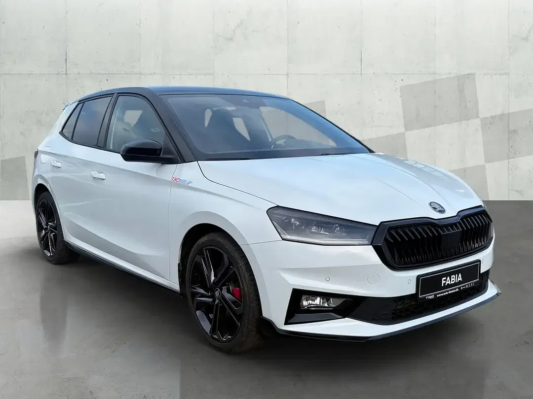 Skoda Fabia - Thumbnail 1