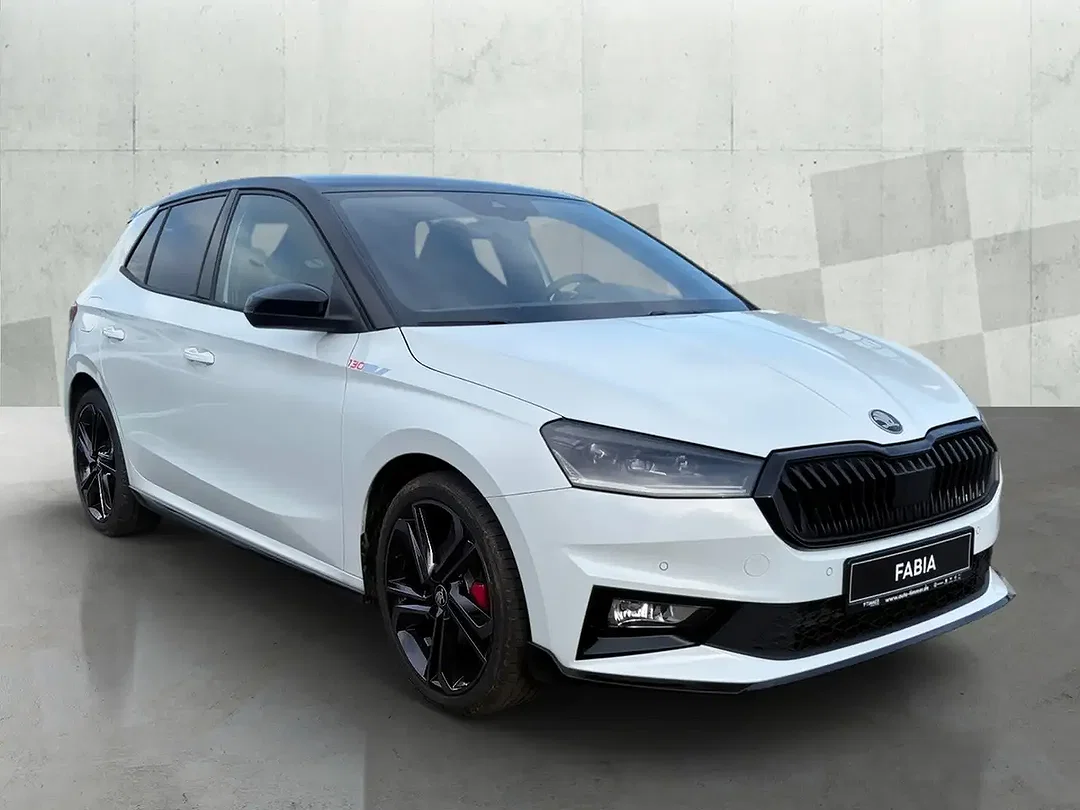 Skoda Fabia - Afbeelding 1