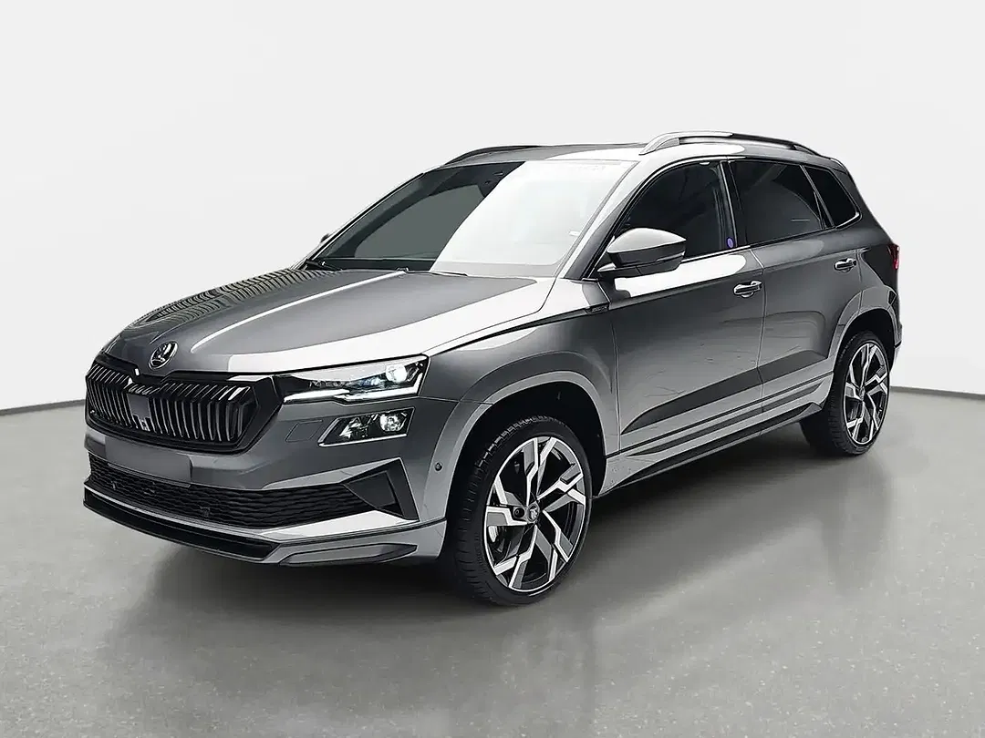 Skoda Karoq - Thumbnail 1