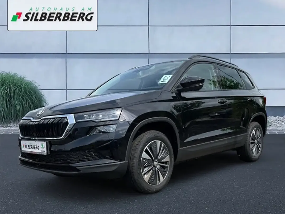 Skoda Karoq - Thumbnail 1