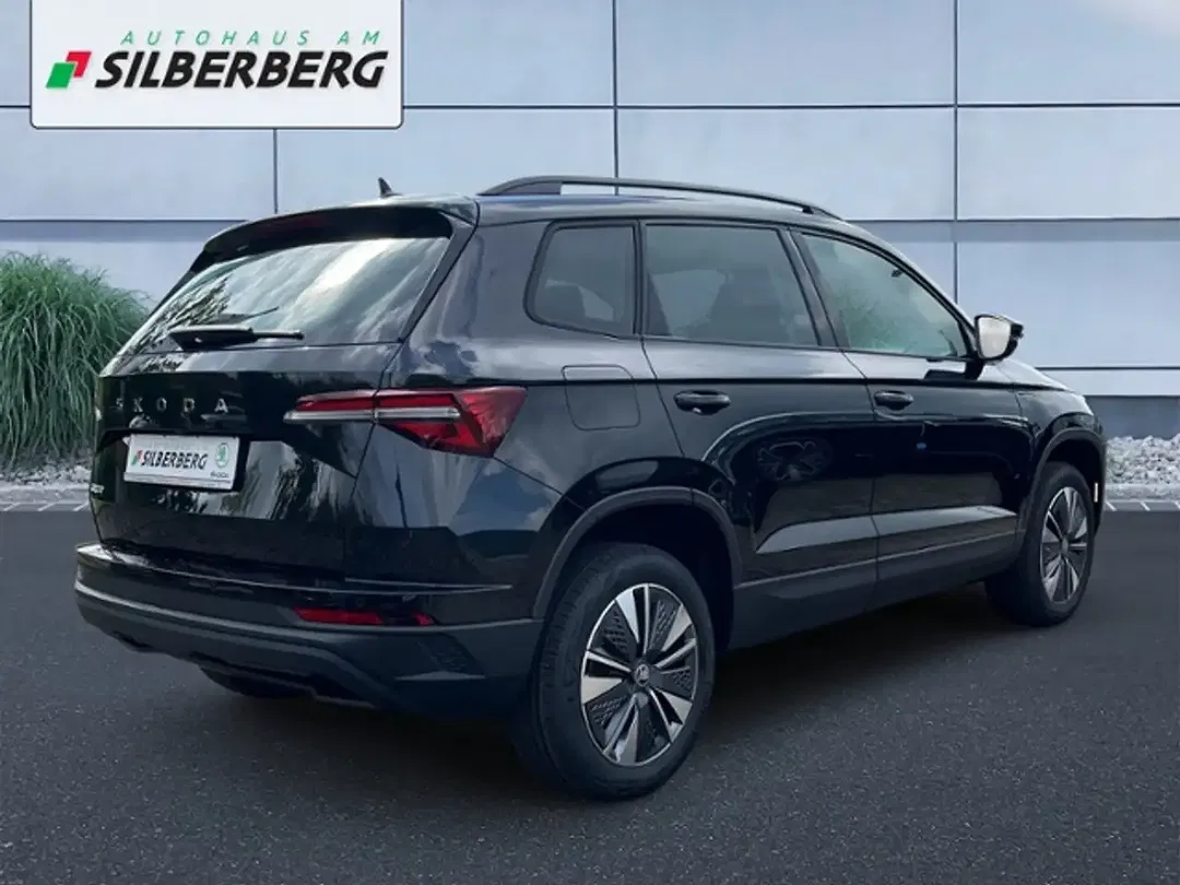 Skoda Karoq - Thumbnail 3
