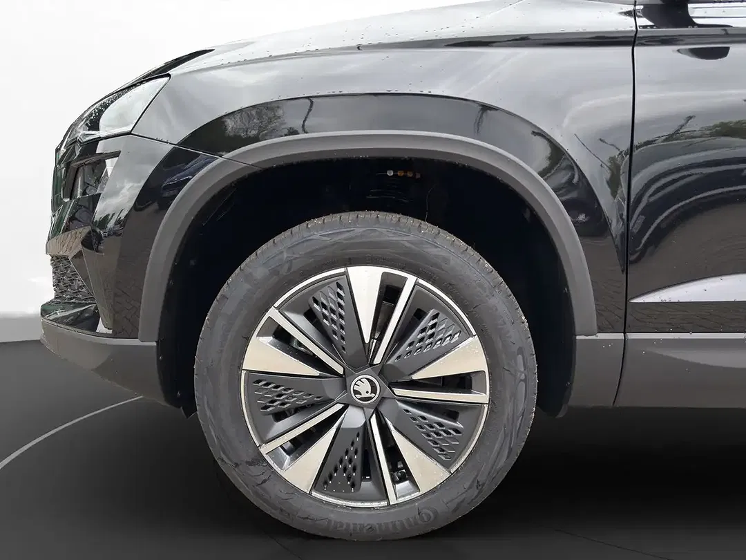Skoda Karoq - Thumbnail 6