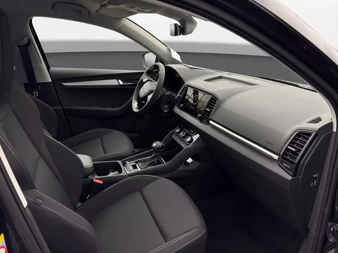Skoda Karoq - Thumbnail 8