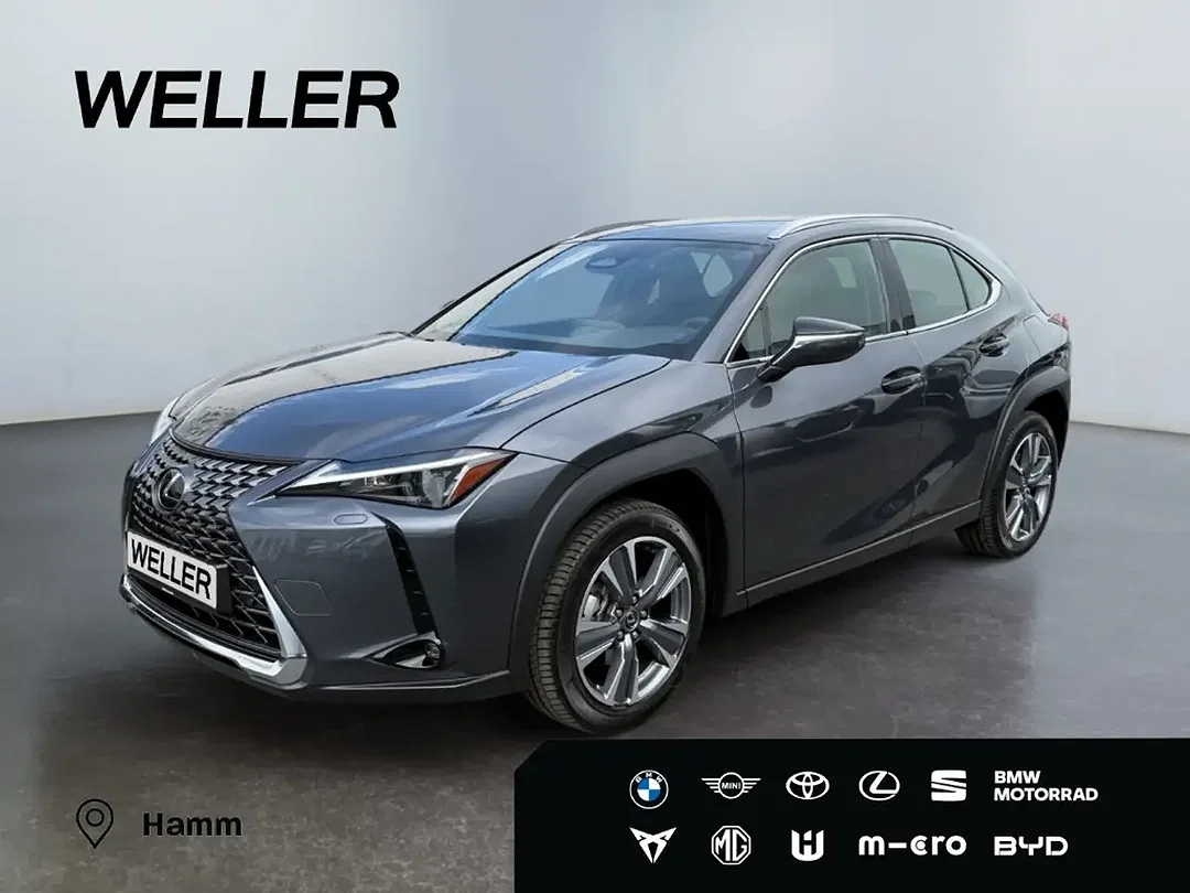Lexus UX 300e - Afbeelding 1