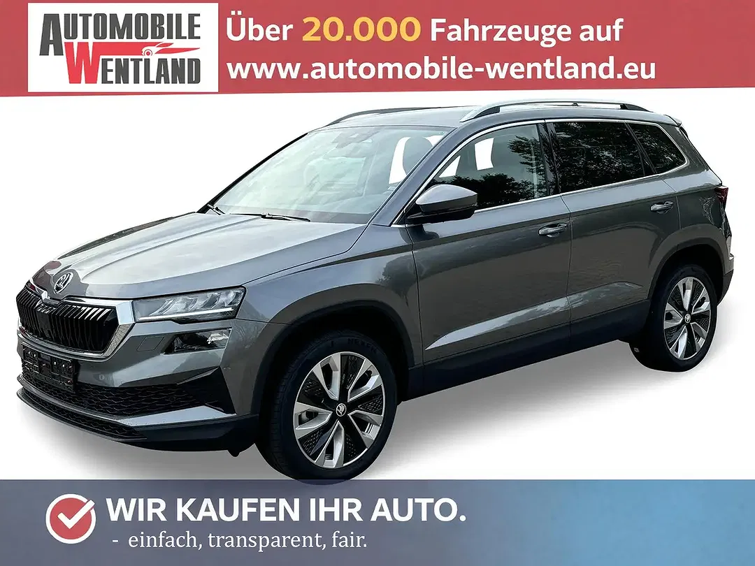 Skoda Karoq - Thumbnail 1