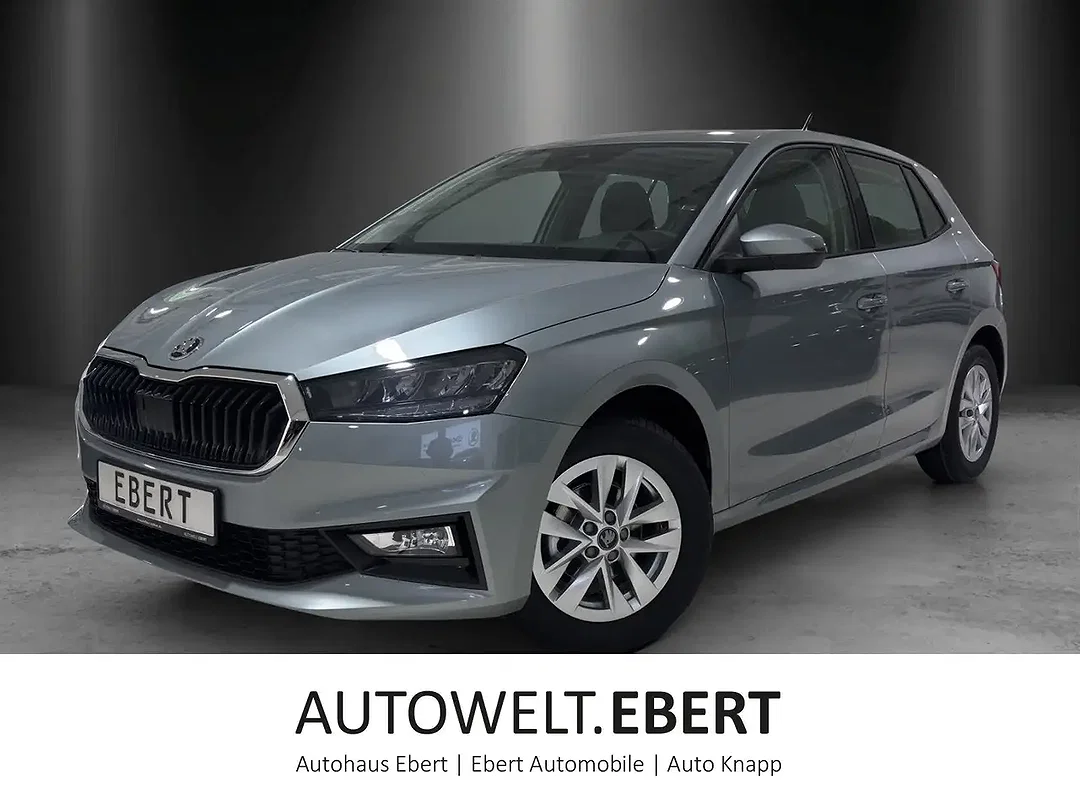 Skoda Fabia - Afbeelding 1
