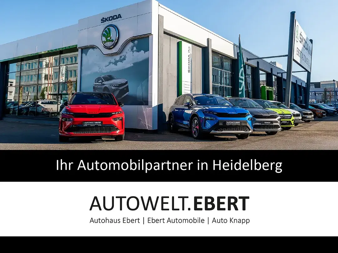 Skoda Fabia - Thumbnail 14