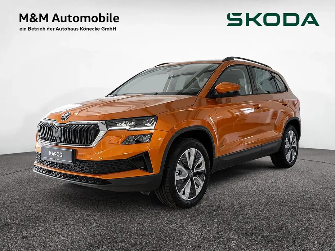Skoda Karoq - Thumbnail 1
