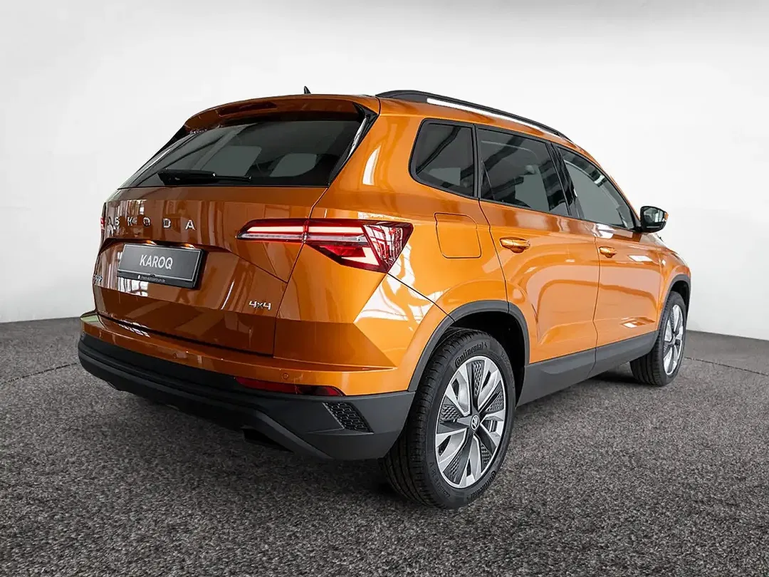 Skoda Karoq - Thumbnail 3