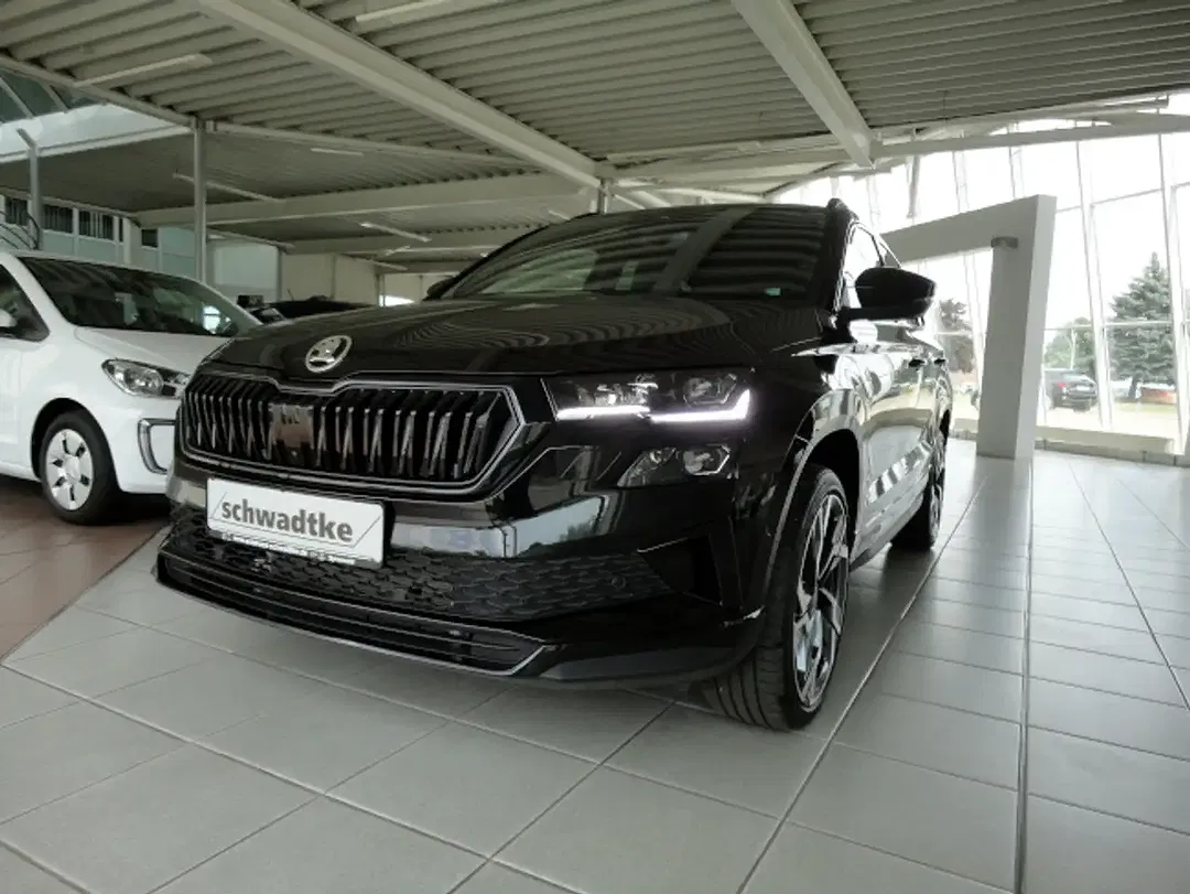 Skoda Karoq - Thumbnail 1